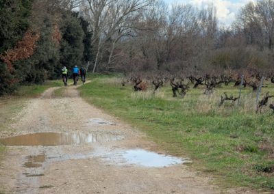 7e gravel découverte