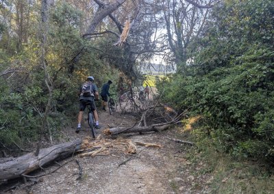 Vinsobres: JP et C, arbre à travers piste