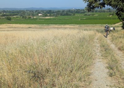 Tulette, groupe sur chemin