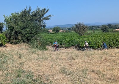 PTulette, groupe sur chemin dans les vignes