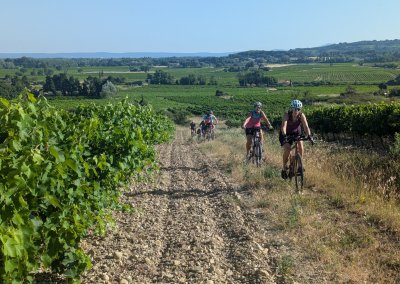 PTulette, groupe sur chemin dans les vignes